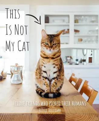 This Is Not My Cat: Feline Friends Who Picked Their Humans (Ez nem az én macskám: Macskabarátok, akik kiválasztották az emberüket) - This Is Not My Cat: Feline Friends Who Picked Their Humans