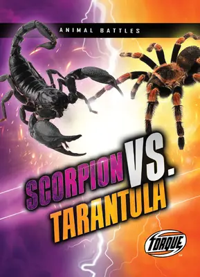 Skorpió vs. Tarantula - Scorpion vs. Tarantula