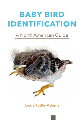 Bébimadarak azonosítása: A North American Guide - Baby Bird Identification: A North American Guide