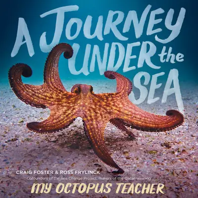 Utazás a tenger alatt - A Journey Under the Sea