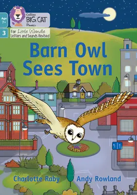 Barn Owl Sees Town - 3. fázis 1. készlet Keverési gyakorlatok - Barn Owl Sees Town - Phase 3 Set 1 Blending Practice