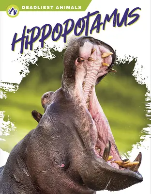 Víziló - Hippopotamus