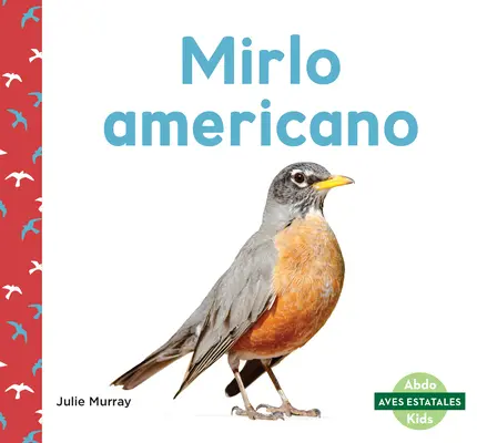 Mirlo Americano (amerikai vörösbegy) - Mirlo Americano (American Robins)