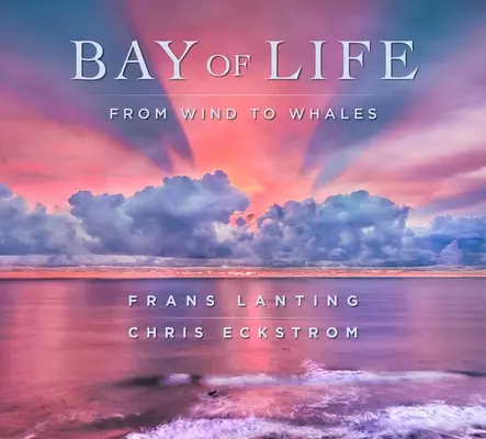 Az élet öble: A széltől a bálnákig - Bay of Life: From Wind to Whales