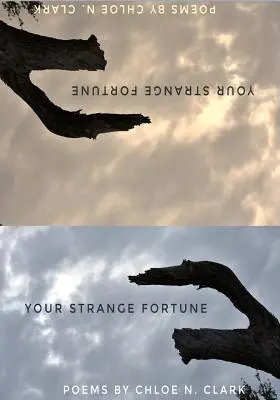 Furcsa szerencséd - Your Strange Fortune