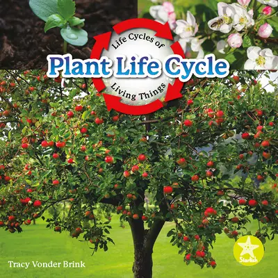 Növényi életciklus - Plant Life Cycle