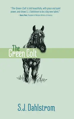 A zöld csikó: Wilder Good kalandjai #4 - The Green Colt: The Adventures of Wilder Good #4