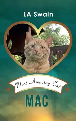 Mac: Mac: A legcsodálatosabb macska - Mac: Most Amazing Cat