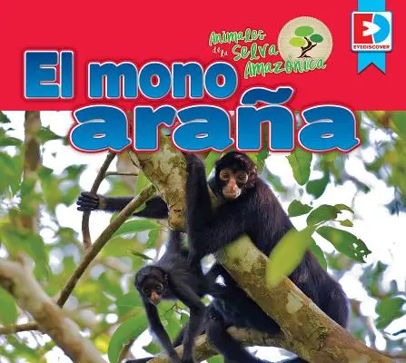 Animales de la Selva Amaznica -- El Mono Araa