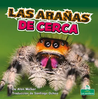 Las Araas de Cerca (Pókok közelről) - Las Araas de Cerca (Spiders Up Close)