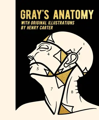 Gray anatómiája: Eredeti illusztrációkkal by Henry Carter - Gray's Anatomy: With Original Illustrations by Henry Carter