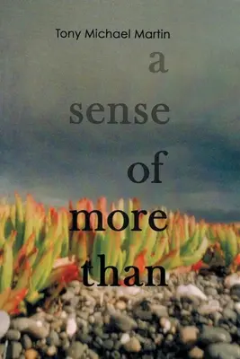 A sense of more than - A Sense of More Than