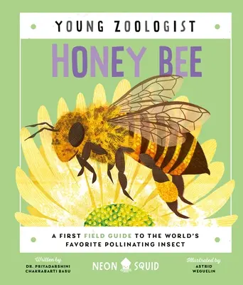 Mézelő méh (Fiatal zoológus): Első terepszemle a világ kedvenc beporzó rovaráról - Honey Bee (Young Zoologist): A First Field Guide to the World's Favorite Pollinating Insect