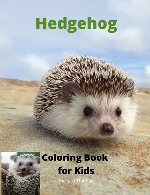 Süni színezőkönyv gyerekeknek: Gyermek Activity Book for Boys and Girls Ages 3-8 évesek számára Super Cute Hedgehog A Super Cool Gift for Boys and Girls Ages - Hedgehog Coloring Book for Kids: Children Activity Book for Boys and Girls Ages 3-8 with Super Cute Hedgehog A Super Cool Gift for Boys and Girls Ages