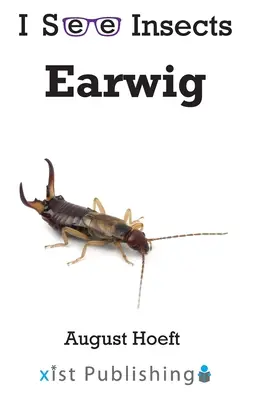 Fülbemászó - Earwig