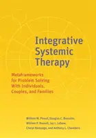 Integratív rendszerszemléletű terápia: Metaframeworks for Problem Solving with Individuals, Couples, and Families (Egyének, párok és családok problémamegoldásának metakeretei) - Integrative Systemic Therapy: Metaframeworks for Problem Solving with Individuals, Couples, and Families