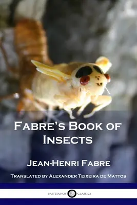 Fabre rovarok könyve - Fabre's Book of Insects