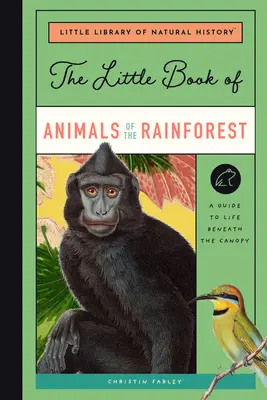 Az esőerdő állatainak kis könyve: Útmutató a Föld legváltozatosabb ökoszisztémájának életéhez - The Little Book of Animals of the Rainforest: A Guide to Life in Earth's Most Diverse Ecosystem