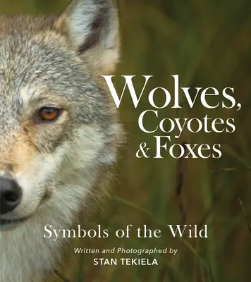 Farkasok, prérifarkasok és rókák: A vadon jelképei - Wolves, Coyotes & Foxes: Symbols of the Wild