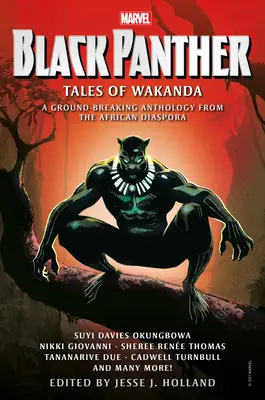 Fekete Párduc: Tales of Wakanda - Black Panther: Tales of Wakanda