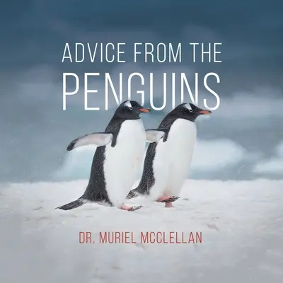 Tanácsok a pingvinektől - Advice from the Penguins