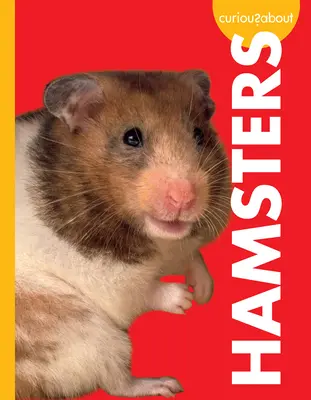 Kíváncsiak a hörcsögökre - Curious about Hamsters