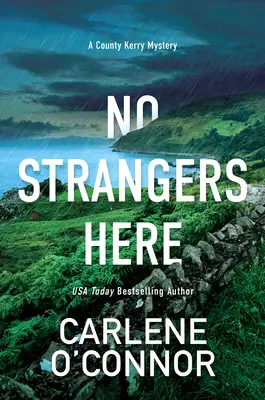 No Strangers Here: A Riveting Dark Irish Mystery