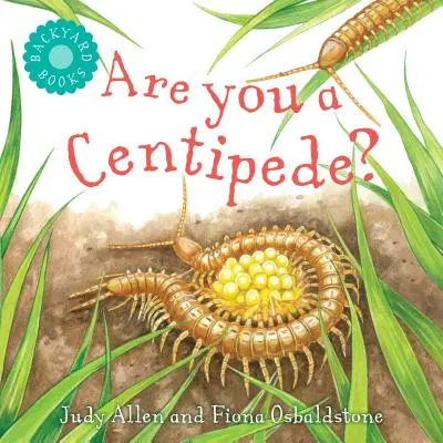 Százlábú vagy? - Are You a Centipede?