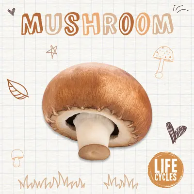 Gomba - Mushroom