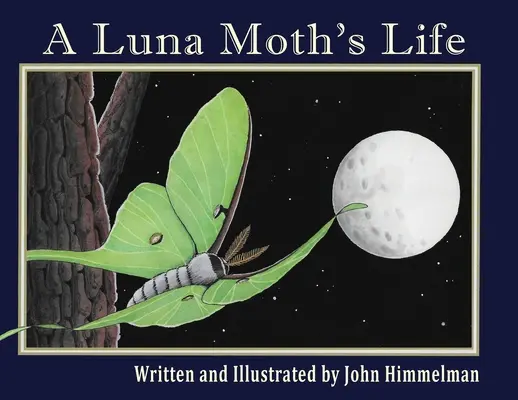 A Luna molylepke élete - A Luna Moth's Life