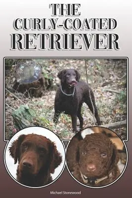 A göndörkabátos retriever: A Complete and Comprehensive Owners Guide To: Vásárlás, birtoklás, egészség, ápolás, kiképzés, engedelmesség, megértés és - The Curly-Coated Retriever: A Complete and Comprehensive Owners Guide To: Buying, Owning, Health, Grooming, Training, Obedience, Understanding and