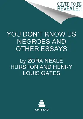 Nem ismersz minket, négereket, és egyéb esszék - You Don't Know Us Negroes and Other Essays