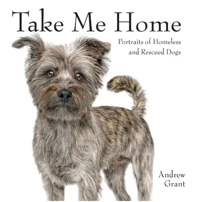 Take Me Home: Hajléktalan és megmentett kutyák portréi - Take Me Home: Portraits of Homeless and Rescued Dogs