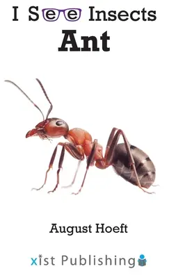 Hangya - Ant