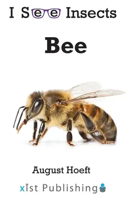 Méh - Bee