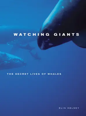 Óriások figyelése: A bálnák titkos élete - Watching Giants: The Secret Lives of Whales