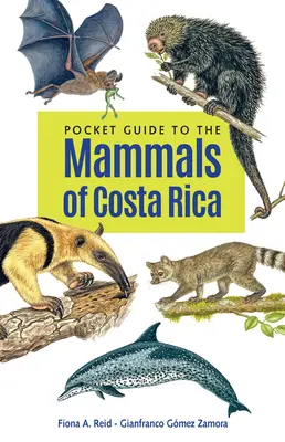 Pocket Guide to the Mammals of Costa Rica (Zsebkalauz Costa Rica emlőseihez) - Pocket Guide to the Mammals of Costa Rica