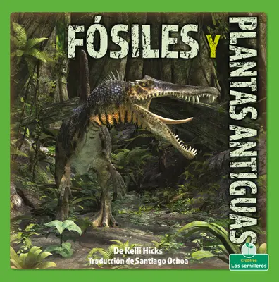 Fsiles Y Plantas Antiguas (Fossziliák és ősi növények) - Fsiles Y Plantas Antiguas (Fossils and Ancient Plants)