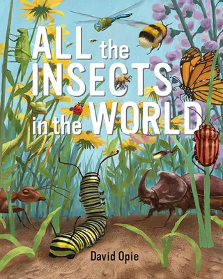 A világ összes rovara - All the Insects in the World