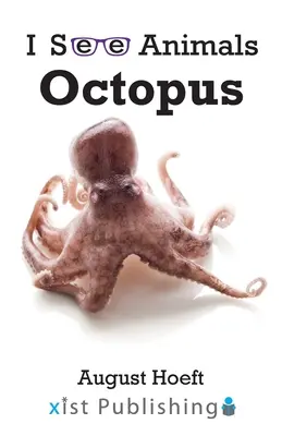 Polip - Octopus