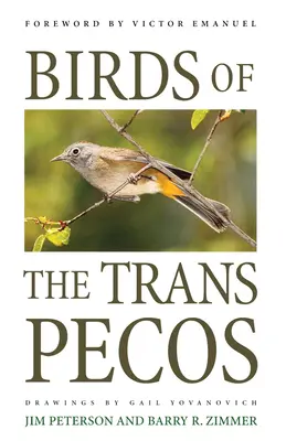 A Trans-Pecos madarai - Birds of the Trans-Pecos