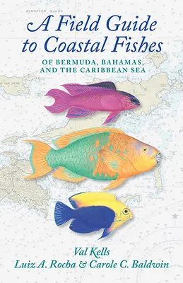 A Field Guide to Coastal Fishes of Bermuda, Bahamas, and the Caribbean Sea (Bermuda, Bahamák és a Karib-tenger part menti halai) - A Field Guide to Coastal Fishes of Bermuda, Bahamas, and the Caribbean Sea