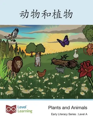 动物和植物: Növények és állatok - 动物和植物: Plants and Animals