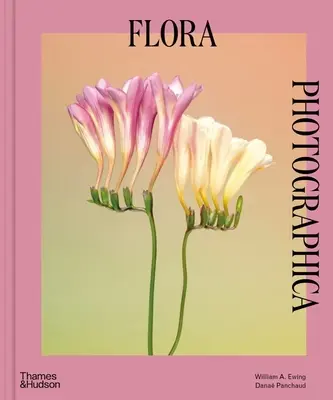 Flora Photographica: A virág a kortárs fotográfiában - Flora Photographica: The Flower in Contemporary Photography