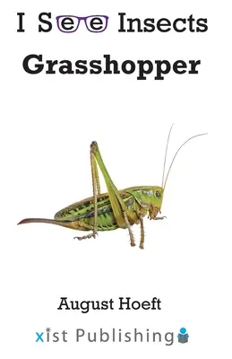 Szöcske - Grasshopper