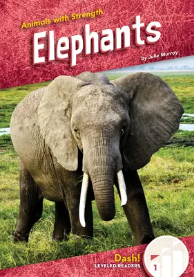 Elefántok - Elephants