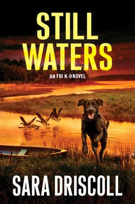 Csendes vizek: Egy lebilincselő feszültséggel teli regény - Still Waters: A Riveting Novel of Suspense