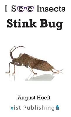 Bűzbogár - Stink Bug