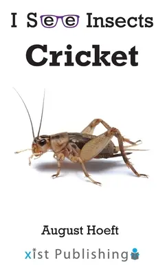 Tücsök - Cricket