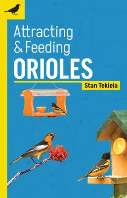 Károlyok vonzása és etetése - Attracting & Feeding Orioles